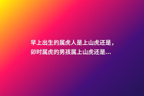 早上出生的属虎人是上山虎还是，卯时属虎的男孩属上山虎还是下山虎 属虎卯时出生的人命运分析-第1张-观点-玄机派